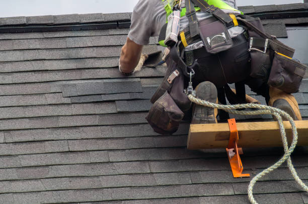 Roof Gutter Cleaning in Mountlake Terrace, WA