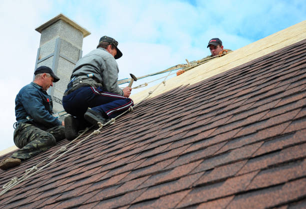 Trusted Mountlake Terrace, WA Roofing Contractor Experts